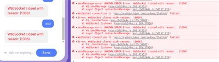 getting the reason why websockets closed with close code 1006