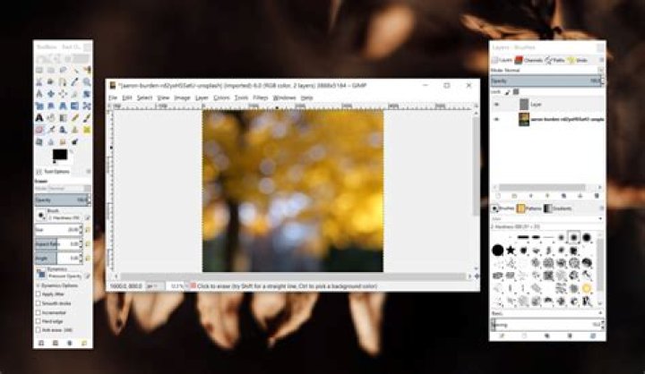 Gimp does not delete section. (Why? How to resolve?)