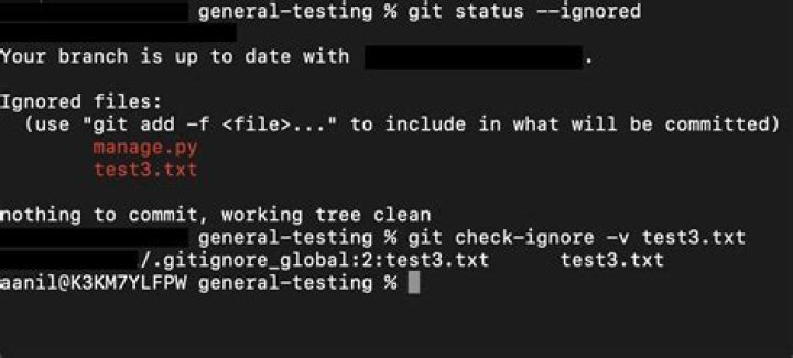 Git doesn't observe new exceptions in .gitignore