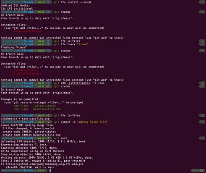 Git LFS refused to track my large files properly, until I did the following