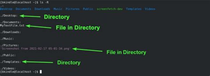 Go find files in directory recursively