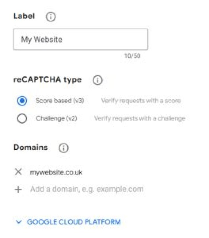 Google Recaptcha screenshot