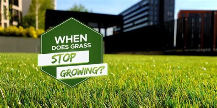 Grass doesn't grow