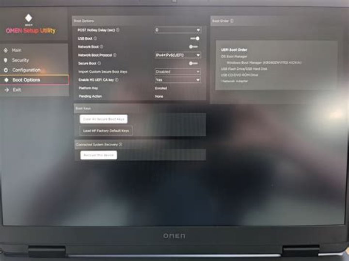 GRUB won't boot persistent - 
