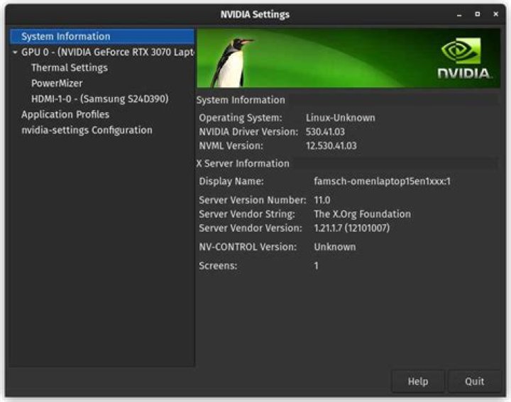 GTX 1080 Ti: Unable to load X Server Display Configuration page
