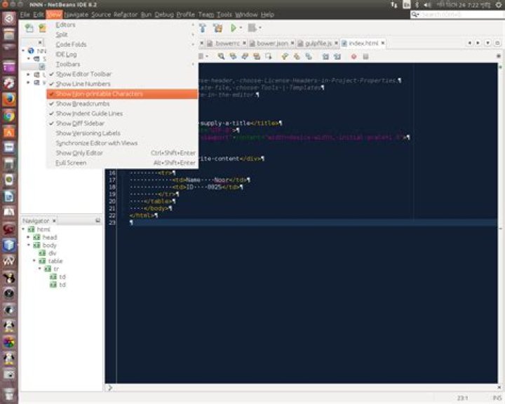 Hiding ¶ line break character in NetBeans editor
