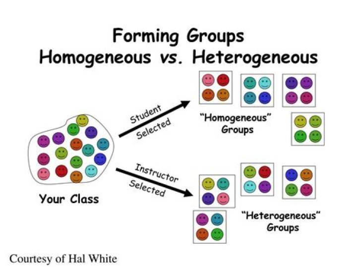 Homogeneous groups