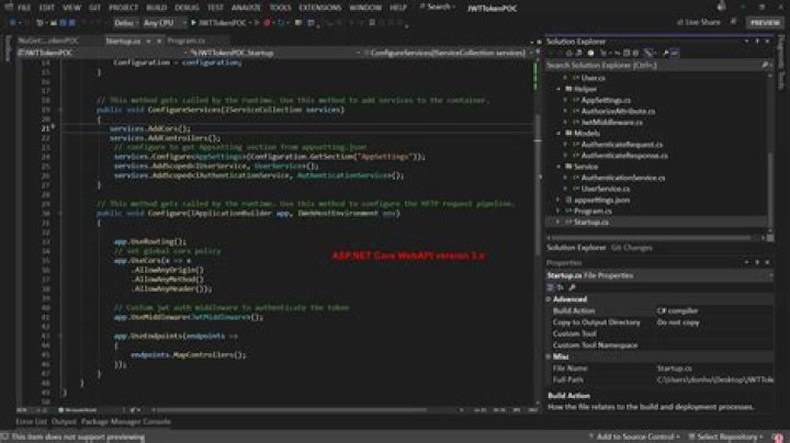 How can I capture the Package Version of a Dot Net Core assembly in startup code?