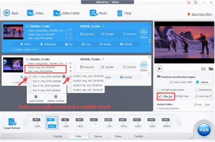 How can I check the video/audio format for a MKV file?