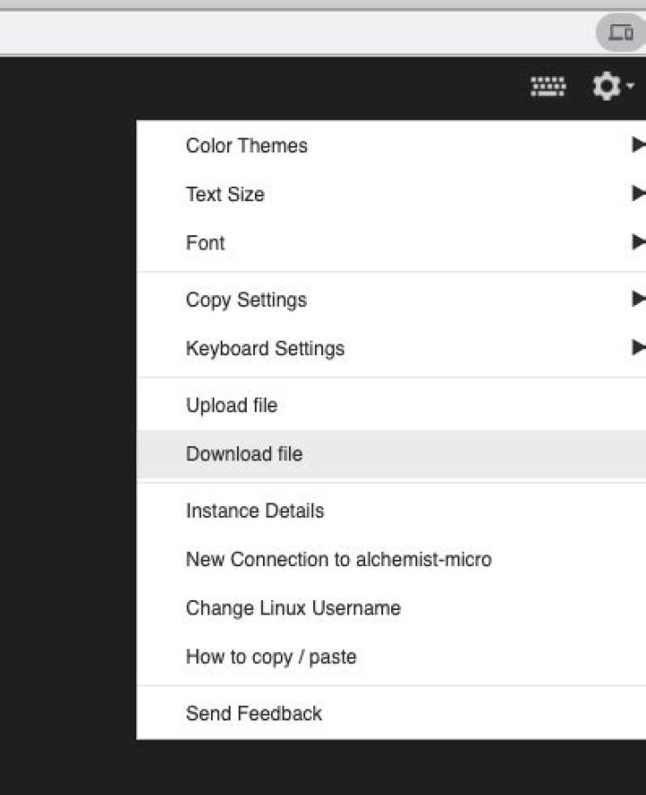 How can I copy files from a Google Cloud Compute Server to my local machine?