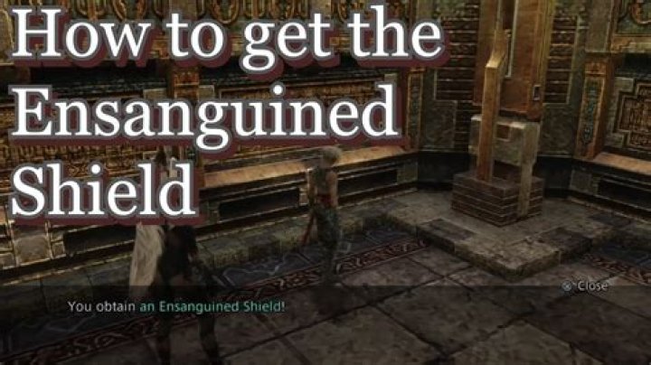 How can I counteract the effects of the Ensanguined Shield?