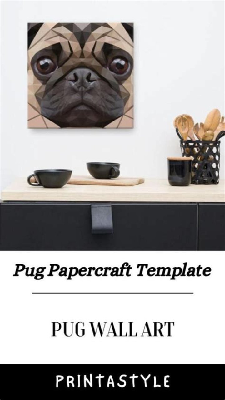 How can I display image in pug template