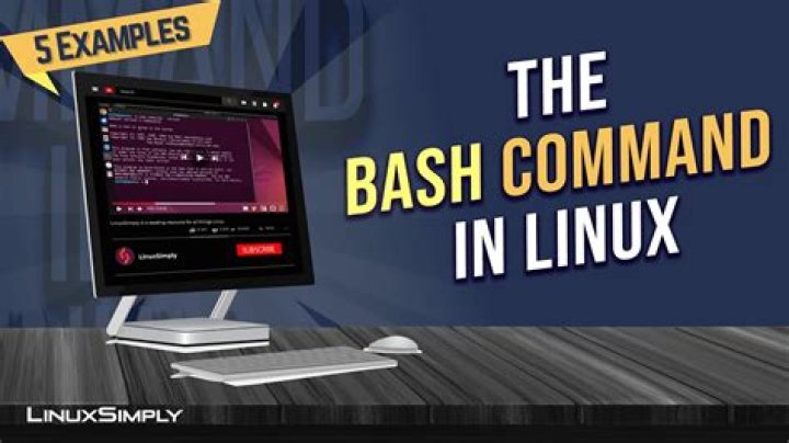 How can I display the output of a Opscode Chef bash command in my console?