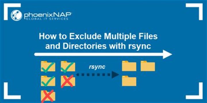 How can I exclude .* directories from rsync but include the .vnc directory?
