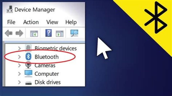 How can I find out if my laptop has bluetooth support?