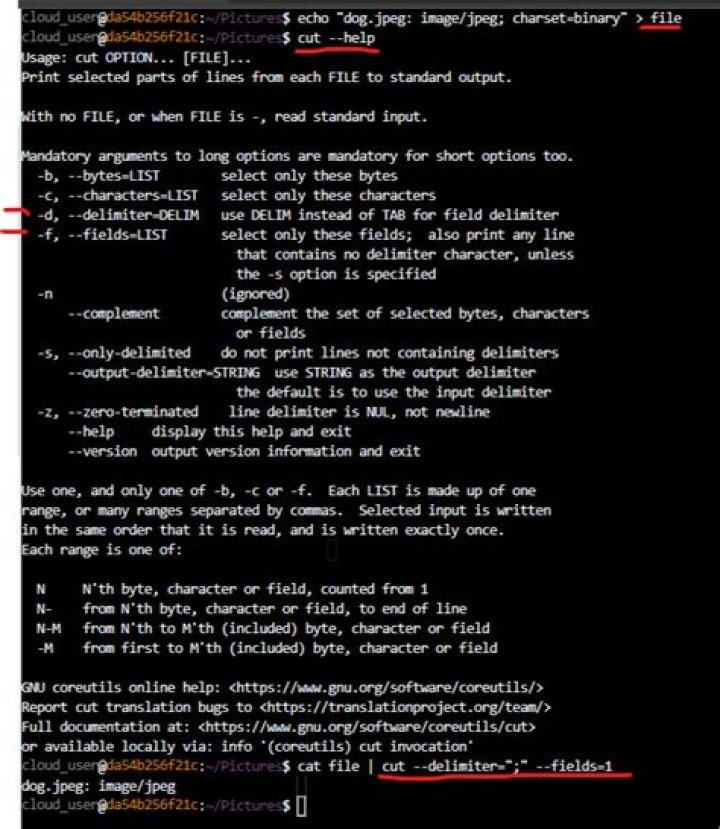How can I find the mime type without charset using 