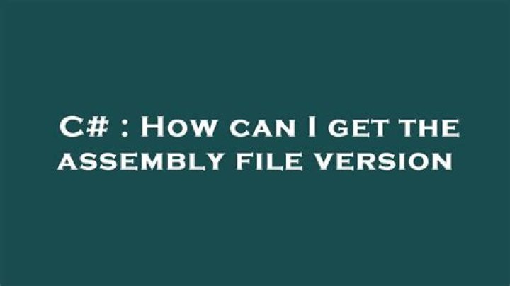 How can I get the assembly file version