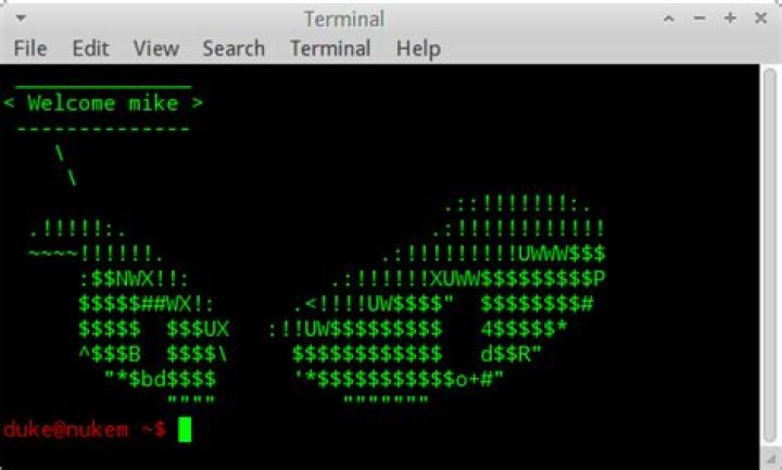 How can I have my terminal start with an ASCII banner? [duplicate]