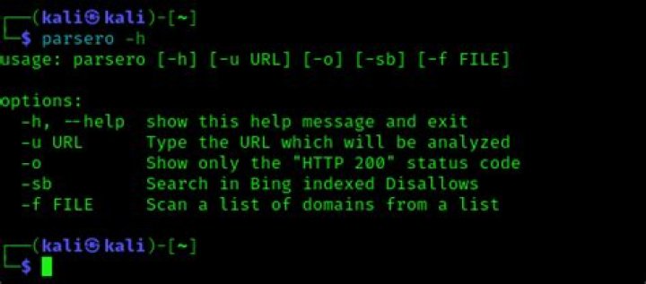 How can I install Parsero?