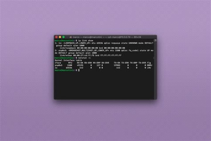How can I list installed network cards using Terminal?