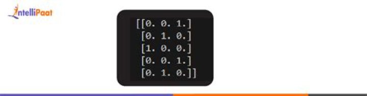 How can I one hot encode in Python?