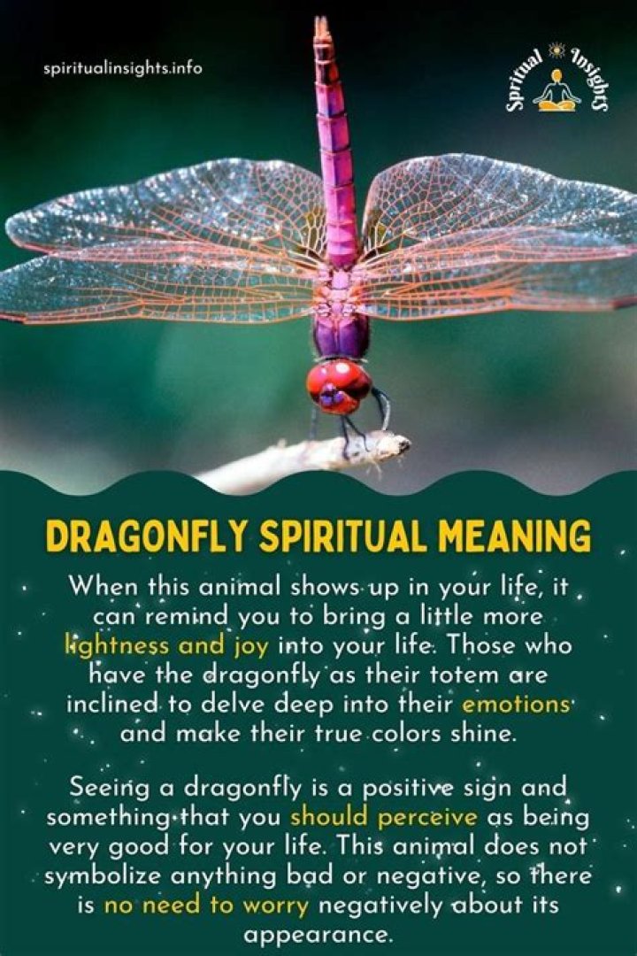 How can I refuel a Cybran dragonfly?