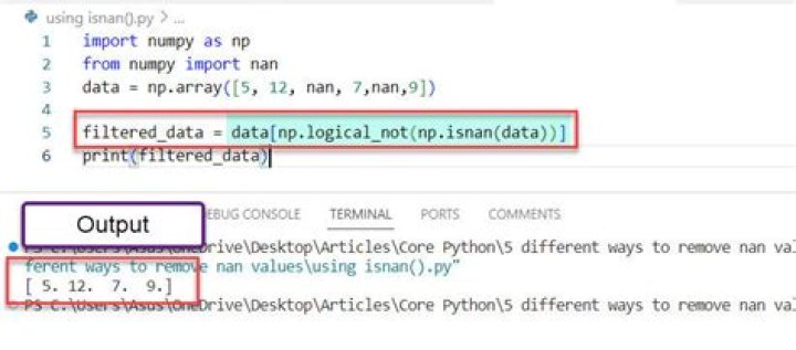 How can I remove Nan from list Python/NumPy
