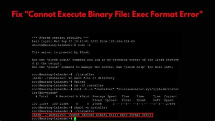 How can I resolve the error 