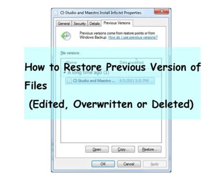 How can I revert a single file to a previous version? [duplicate]