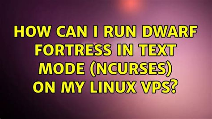 How can I run Dwarf Fortress in text mode (ncurses) on my Linux VPS?