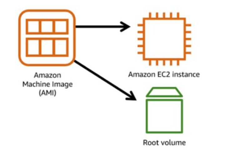 How can I terminate a ping output in a linux terminal on a AMI (Amazon Machine Image) machine
