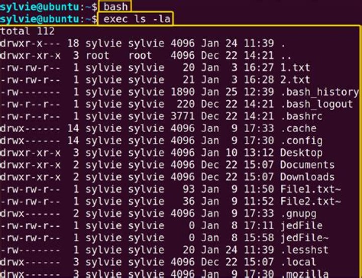 How can I use ant <exec> to execute commands on linux?