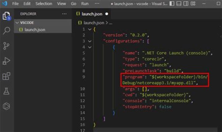 How do I add environment variables to launch.json in VSCode