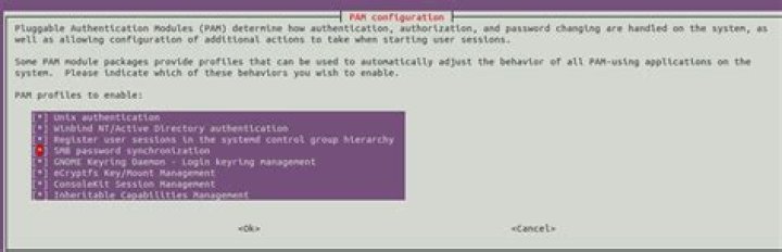 How do I change options in PAM configuration?