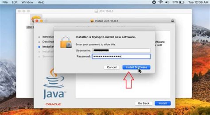 How do I check if the Java JDK is installed on Mac?