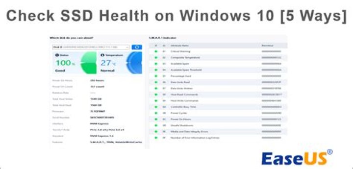 How do I check the health of a SSD?