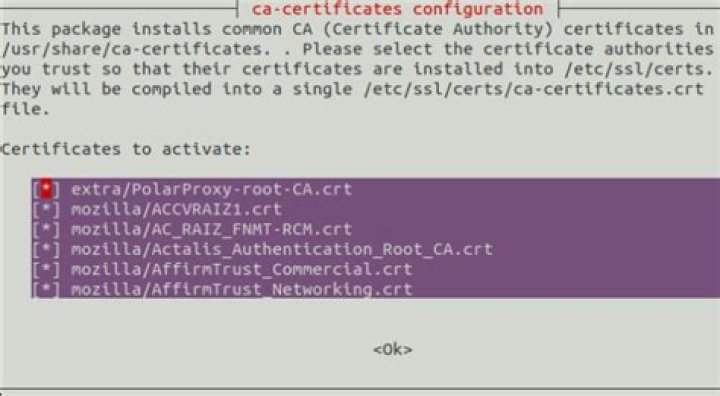 How do I configure PolarProxy on Ubuntu 20.04?