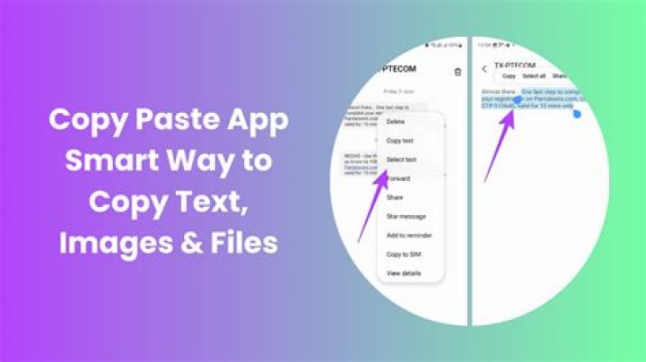 How do I copy a fancy Text from input field and paste it?