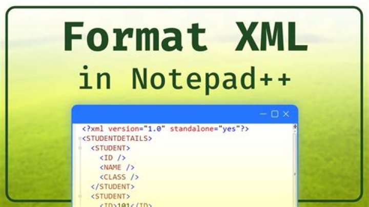 How do I format XML in Notepad++?