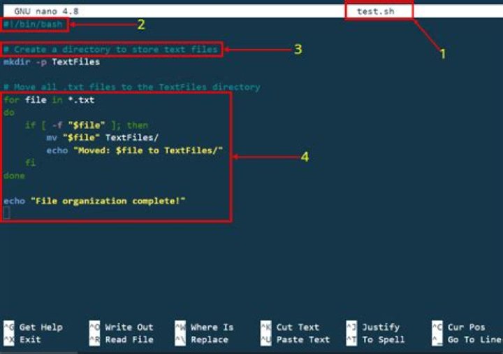 How do I get a bash script to echo itself into a new file? [closed]