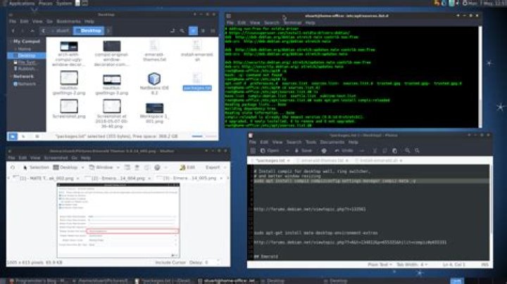 How do I get Compiz, Emerald, and GNOME to work?