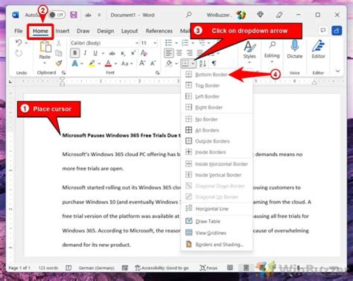 How do I get horizontal lines to the left and right of a heading in Microsoft word?