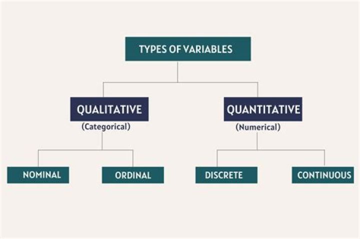 How do I get the type of a variable?