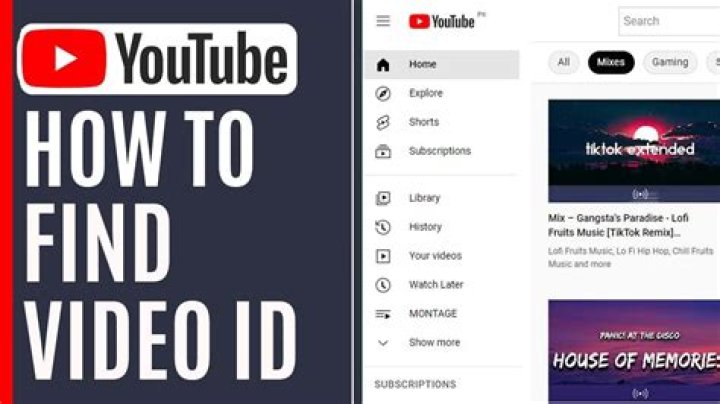 How do I get the YouTube video ID from a URL?