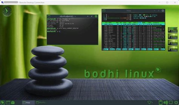 How do I install the Moksha window manager on 15.04?
