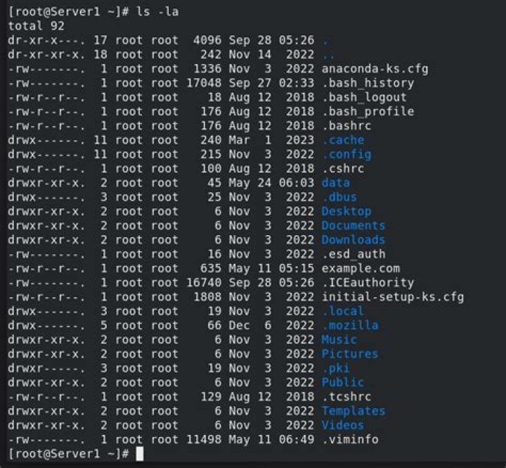 How do I interpret the results of the `ls -l` command?