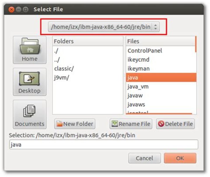 How do I make java default to a manually installed JRE/JDK?