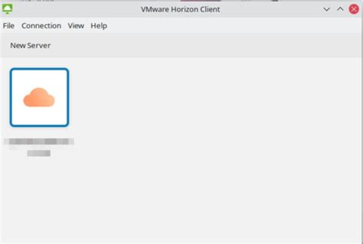 How do I reveal hidden/obscured text in VMware Horizon Client (Linux)?
