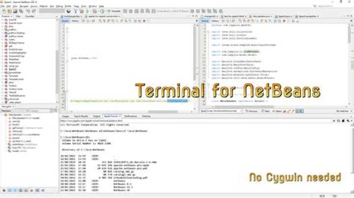 How do I run NetBeans from the terminal?