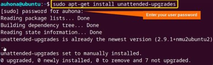How do I update sudo package version?
